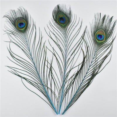 DIY370: 10Pcs/Lot Peacock Feather for Wedding Decoration ( 21 colors )
