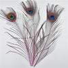 DIY370: 10Pcs/Lot Peacock Feather for Wedding Decoration ( 21 colors )