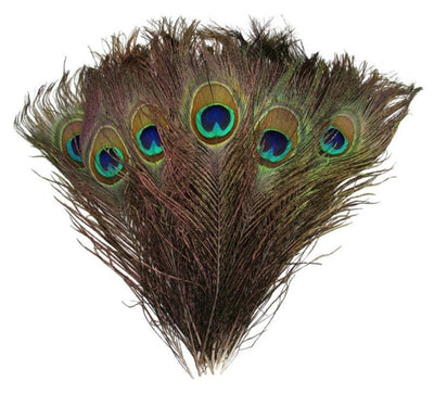 DIY370: 10Pcs/Lot Peacock Feather for Wedding Decoration ( 21 colors )