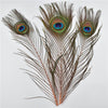 DIY370: 10Pcs/Lot Peacock Feather for Wedding Decoration ( 21 colors )