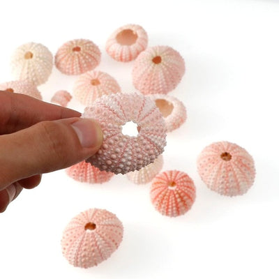 DIY267 Random Size Natural Sea UrchinShell for beach Wedding Decoration