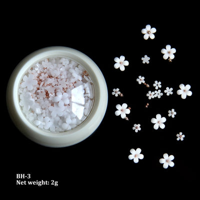 BC04 : 3D Acrylic flowers Mixed Size for DIY Nails decoration