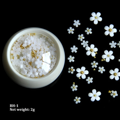 BC04 : 3D Acrylic flowers Mixed Size for DIY Nails decoration