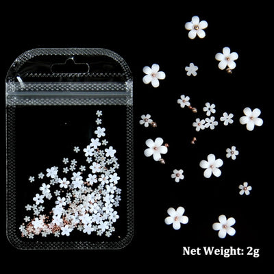 BC04 : 3D Acrylic flowers Mixed Size for DIY Nails decoration