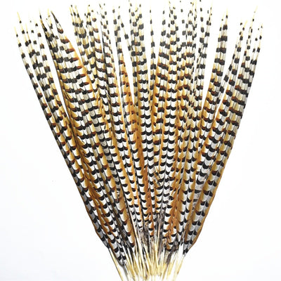 DIY373 Pheasant Feathers for Wedding decoration