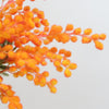 DIY234 Orange mimosa flower branch (3Colors)