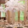 DIY393 : 10pcs/lot Natural White Ostrich Feathers For Wedding Decoration