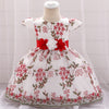 FG240 Flower Embroidery Baby Girl Dresses (4 Colors)
