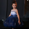 FG544 Littel Princess Girl dresses ( 3 Colors )