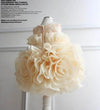 FG209 Puffy Ruffles ball gown Baby Girl outfits