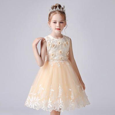 FG431 Christening Gowns ( 2 Colors )