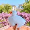 CB291 Lovely Japanese duck coin bags