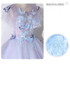 CG216 Butterfly Embroidery ball Gowns