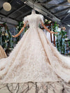 HW73 Glamorous off shoulder sequins with feather wedding Gowns