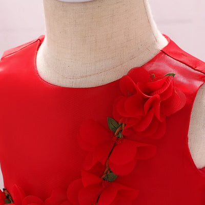 FG396 Lovely Girl dresses (0-2 yrs )_4 Colors
