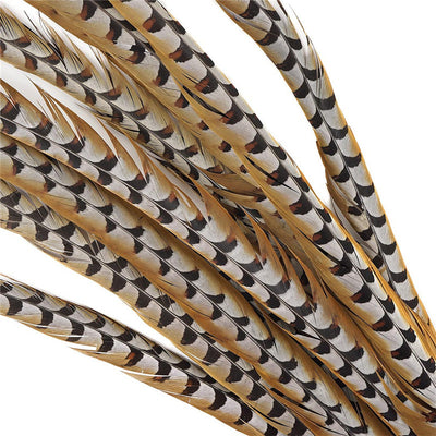 DIY373 Pheasant Feathers for Wedding decoration