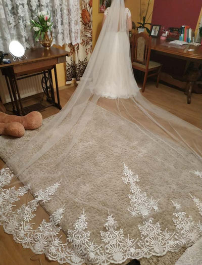 BV13 One Layer Lace Tulle Wedding Veil