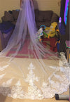 BV13 One Layer Lace Tulle Wedding Veil