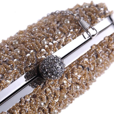CB136 Fashion Evening Purses (champagne/Black/Silver)