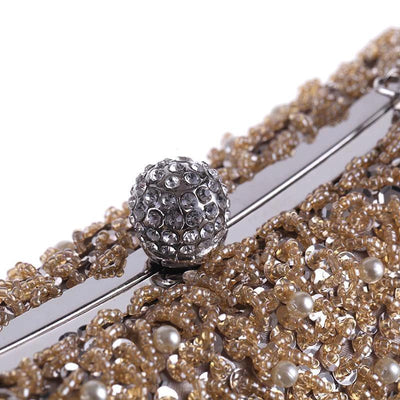 CB136 Fashion Evening Purses (champagne/Black/Silver)