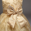 FG242 High-End Embroidery Flower Girl Dresses( 2 Colors)