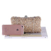 CB136 Fashion Evening Purses (champagne/Black/Silver)