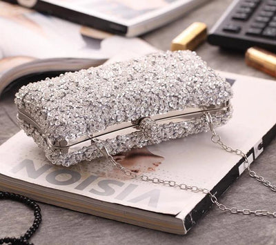 CB136 Fashion Evening Purses (champagne/Black/Silver)