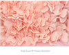 FG139 Luxury flower girl dress with mesh long cape