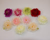DIY131: 20pcs/lot Peony Flower Head for Wedding Backdrop (17 Colors )