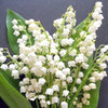 DIY411 Artificial Lily Of the Valley Flowers for Wedding Decoration