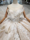 HW42-1 Handmade Glitter Wedding dress with Chapel train