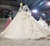 HW285 Real Photo Champagne sequined Wedding Gown