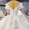 HW323 Real Sample pictures short sleeves sequin wedding gown+veil