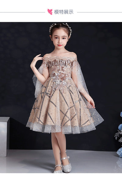 FG399 Sequin Lace Embroidered Flower Girl Dress
