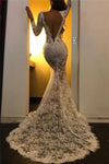 CW374 Lace mermaid Wedding Dress