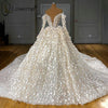 HW250 High-End Long Sleeves Appliqued Wedding Gowns