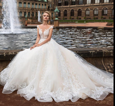 HW248 High-end Wedding Dresses With Embroidery Lace Illusion Neck