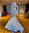 HW150 Luxurious South African mermaid Wedding Gown