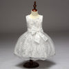 FG242 High-End Embroidery Flower Girl Dresses( 2 Colors)