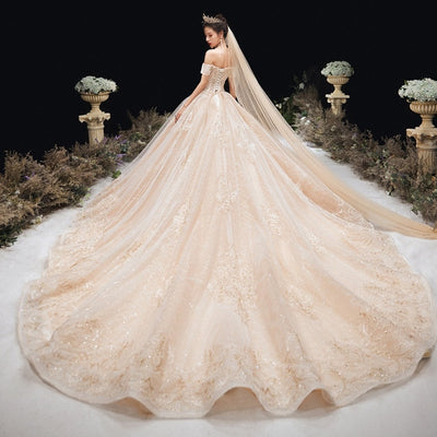 HW436 Luxury Champagne sequined Wedding Dress