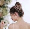 BJ108 Handmade rhinestone feather shape Bridal hair Jewelry
