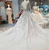 HW23 Grey Long Sleeve crystal beaded Wedding Gown with matching veil