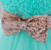 FG294 : 2Pcs Sequin Bow Flower Girl dresses (4 Colors)