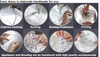 HW08 Plus Size Off The Shoulder Princess Bridal Dresses