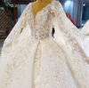 HW304 Luxurious Deep V-Neck Crystal Beading Sequined Wedding Dress