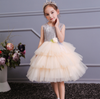 FG374 : 2 Styles Layered Dresses for Girls