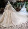 HW96 Luxury high neck long sleeve wedding dress with matching veil