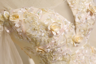 CG201 Half Sleeve Off The Shoulder Quinceanera Dress