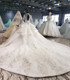 HW100 Real Photo Long sleeve sequined white wedding gown