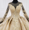 HW102 Princess Long sleeve golden lace wedding dresses.